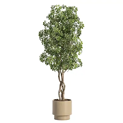 indoor plant 08 stone pot
