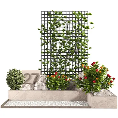 backyard and landscape ivy garden plants and rose Shrubs 423