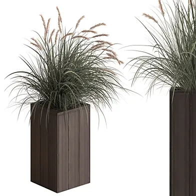 Plant Box - Outdoor Plants 713