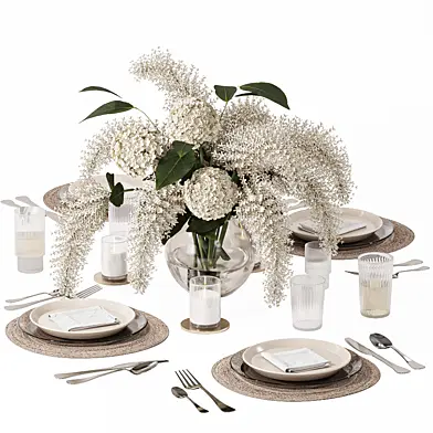 Table setting-H29