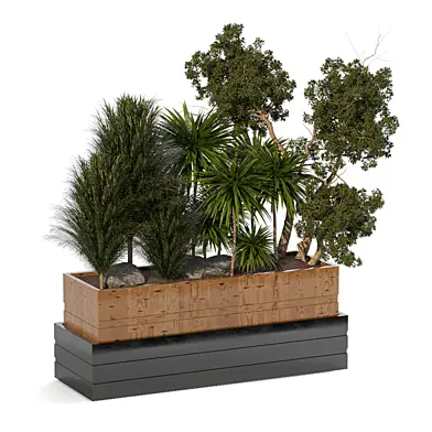 Plants Collection in Metal and Wooden Box set 243