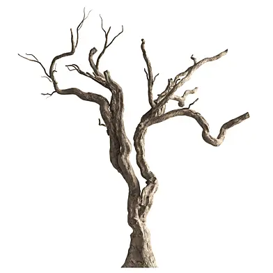 Dry Trunk Tree Set 418