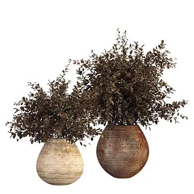 Indoor plant 057
