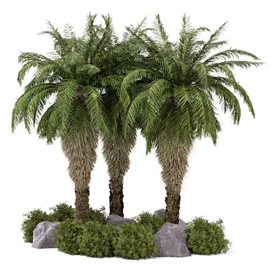 Outdoor Palm Garden_Garden Set 3414