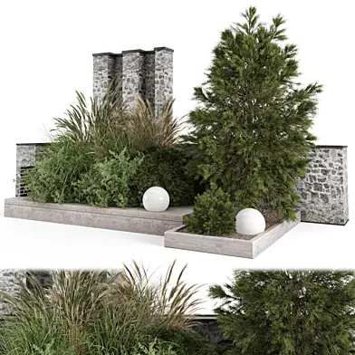 Landscape Dry Plants Bush Tree_Set 3424