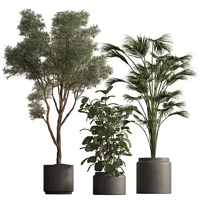 Indoor Plant 932 - Tree and Bush