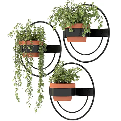 Modern Wall Planters With Geometric Designs