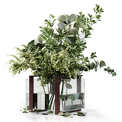 Bouquet Indoor Plants 52