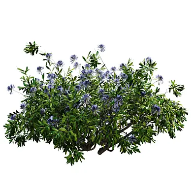Outdoor plant and flower for landscape set 697