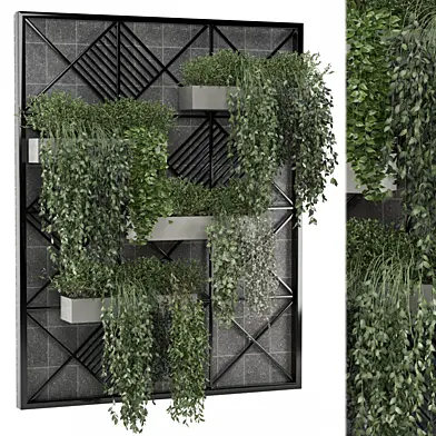 indoor hanging Plants Collection 2049