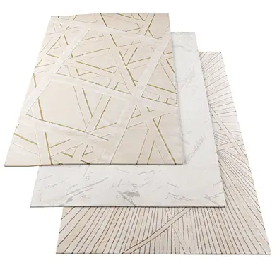 Rugs 1424