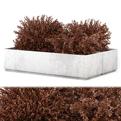 Outdoor Plants Red Bush Collection 3552