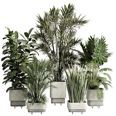 Indoor plant 693 concrete dirty vase plant tree pot
