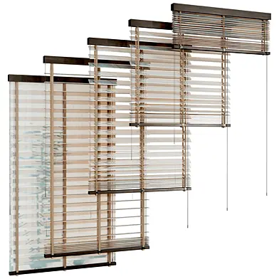 Glass Blinds Curtain Collection 74
