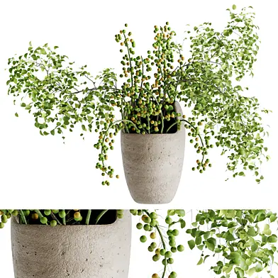 Branch bouquet in a clay pot 65