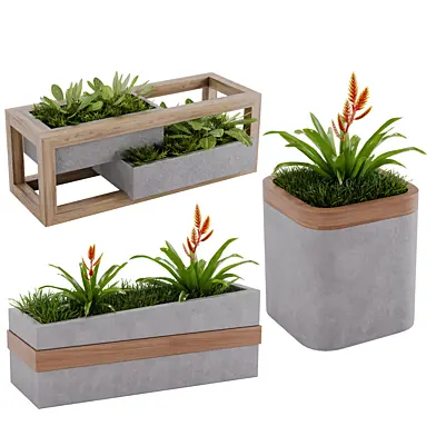 flowerBox modern02