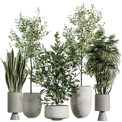 AV Indoor Plants Set 381 Rhapis Palm and Green Sansevieria and Ficus Microcarpa and Olive Eucalyptus