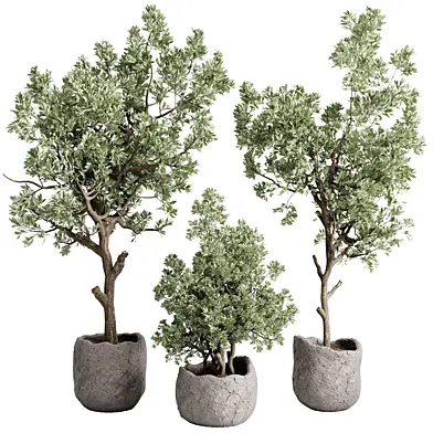 Tree in a stone Pot - Indoor plant set 705