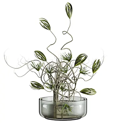 Plants Set 255