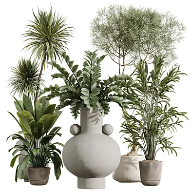 AV Indoor Plants Set 402 Areca Palm and Japandi Decorative and Yucca and Ficus and Zamioculcas
