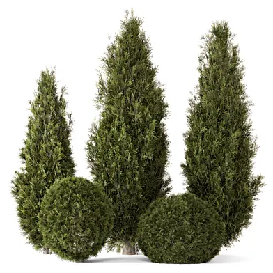 Outdoor Plants Bush_Pine Bush Set 3722