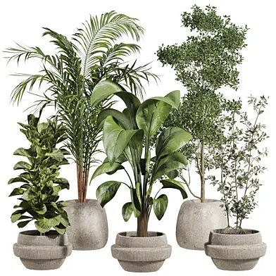 Plants Set 259