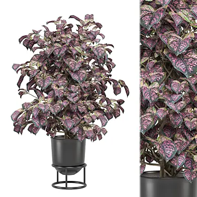 tree Plants Collection 2189