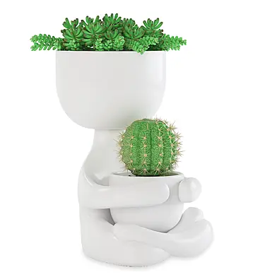 Plant with Vase