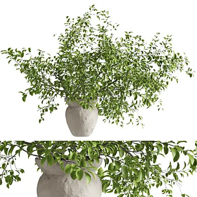 Branch Bouquet in a Clay Pot 86