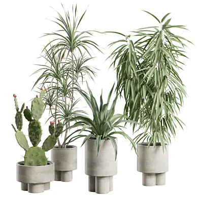 Indoor Plants Pack 100
