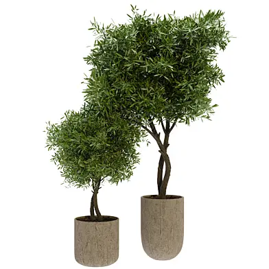 Plants set 10