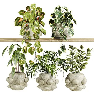 Plants Set 267