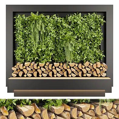 Collection plant vol 639 - fitowall - fern - bush