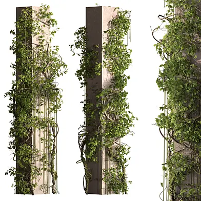 Ivy Plant on column - Outdoor Plants 730