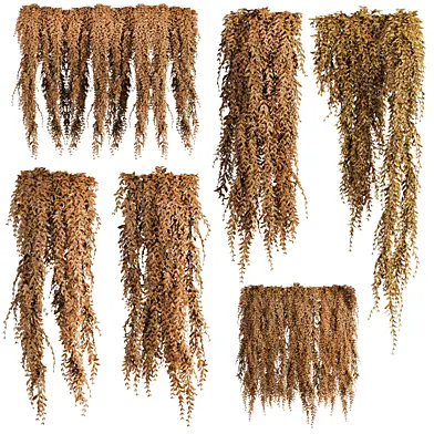 Autumn Ivy Plants Set 270
