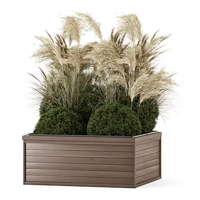 Outdoor Plants Pampas Bush Collection 3781