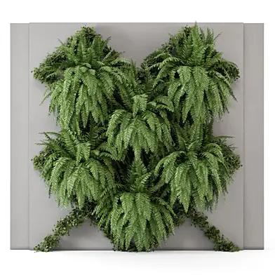 Hanging Fern Plants Wall Vertical Garden_Set 3782