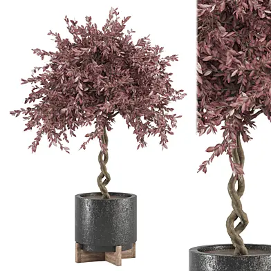 tree Plants Collection 2218