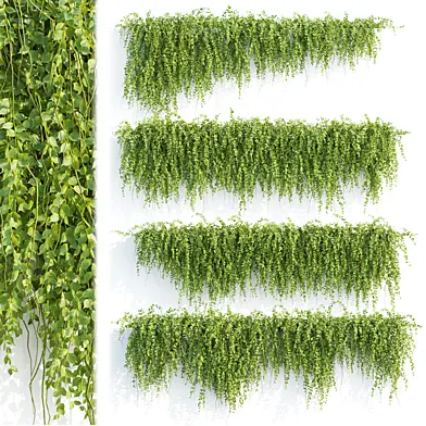 Ivy Hanging Wall Plants Collection Vol 307