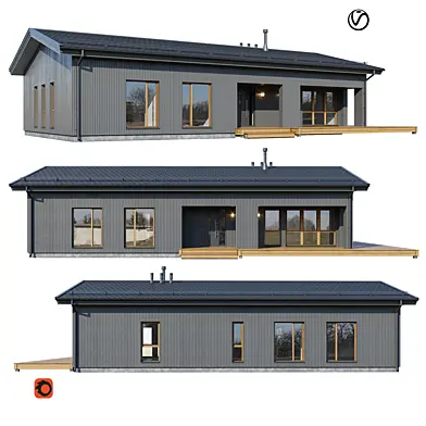 Modern house V129