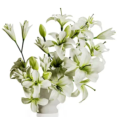 Bouquet of Flowers Branches in Vase 54