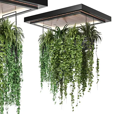 outdoor hanging plants 2226