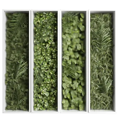 green wall vol 77