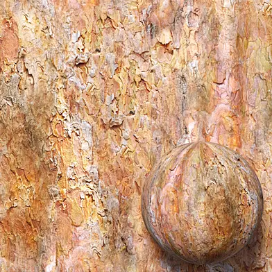 The Seamless Pine Bark Material