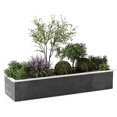 Outdoor Plants Collection Set Bush and Tree 235