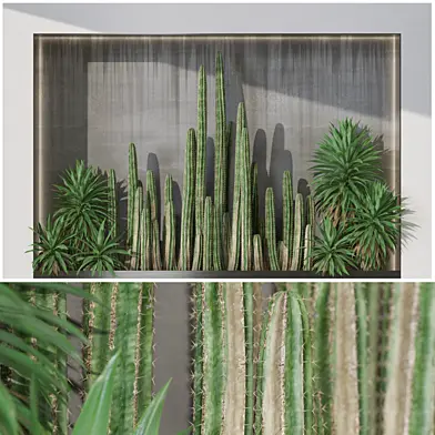 Plant Wall Garden 15