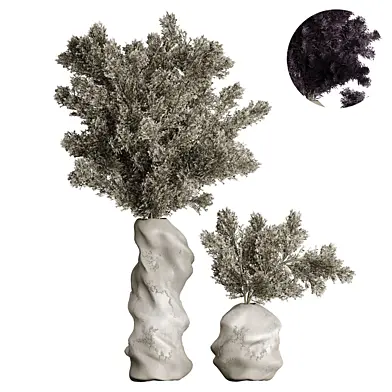 Indoor plant 088