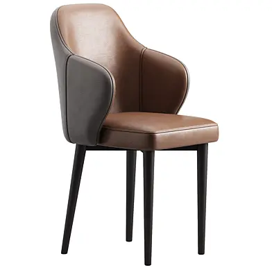 Ruka Modern Leather Dining chair