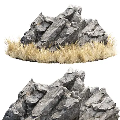 Rock with Dry Grass 3D Model Vol 333