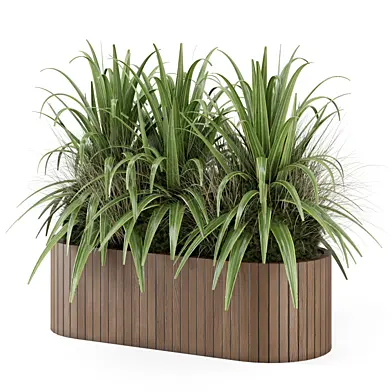 Outdoor Plants in Wooden Pot_Set 4060